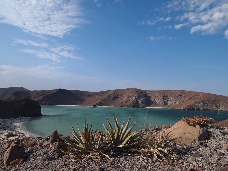Balandra Bay's shallow blue-green water near La Paz