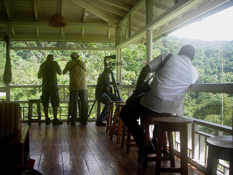 Forested slopes of the Northern Range around the Asa Wright Nature Centre, Trinidad
