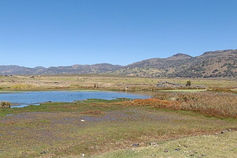 The Sanetti Plateau in Bale Mountains National Park, Ethiopia