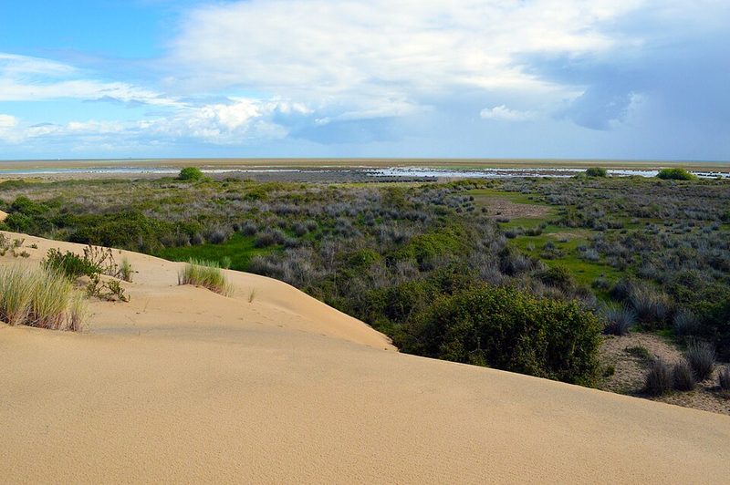 The marismas of Doñana National Park at the mouth of the Guadalquivir