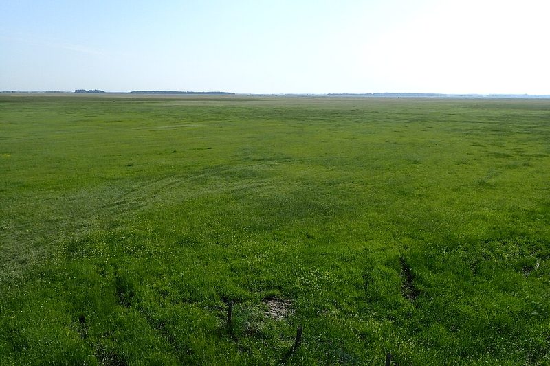 Grassland and marsh in Hortobágy National Park, Hungary