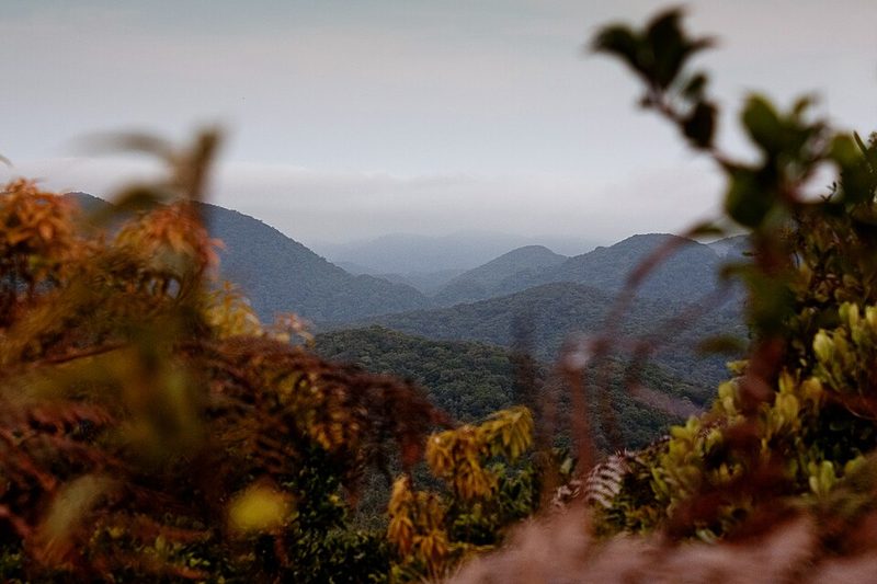 Atlantic Forest ridge seen from Intervales State Park, São Paulo