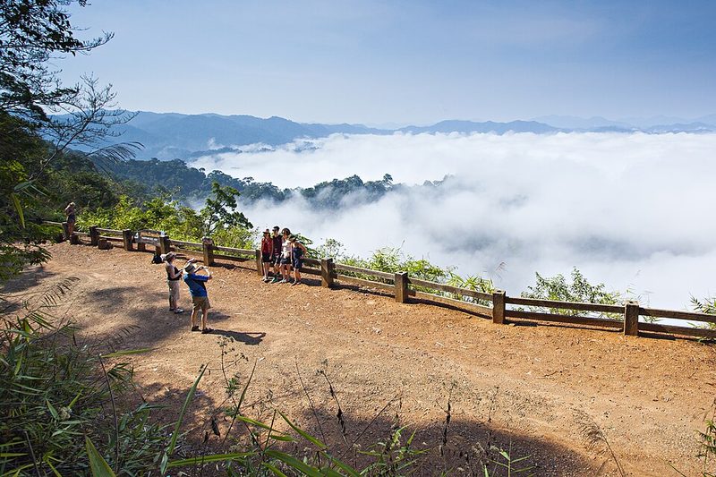 Forest on the Tenasserim range in Kaeng Krachan National Park, Thailand
