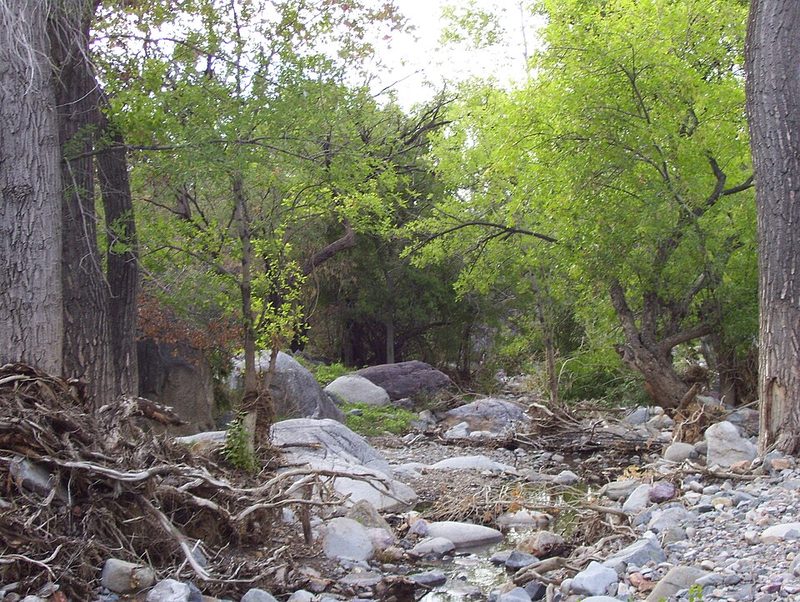 Madera Canyon in the Santa Rita Mountains south of Tucson, Arizona