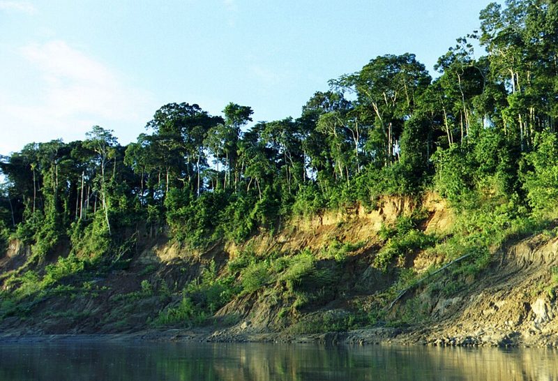 River and rainforest in Manú National Park, Madre de Dios