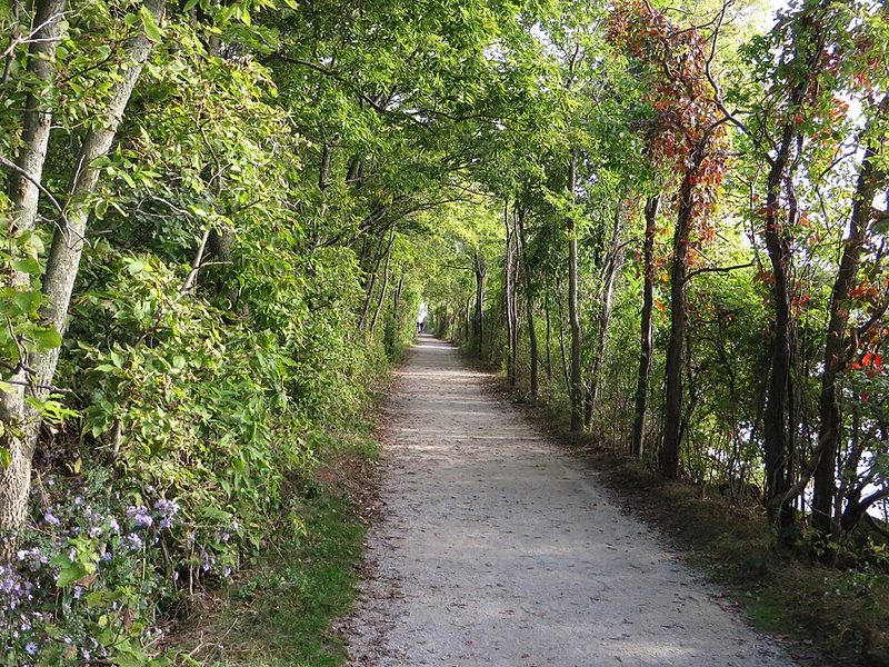 The Tip at Point Pelee National Park on Lake Erie, Ontario