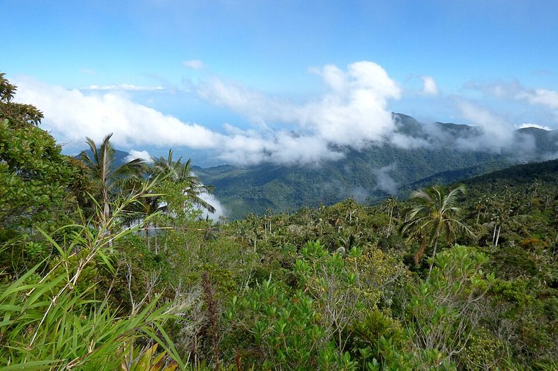 The Cuchilla de San Lorenzo ridge in the Sierra Nevada de Santa Marta, Colombia