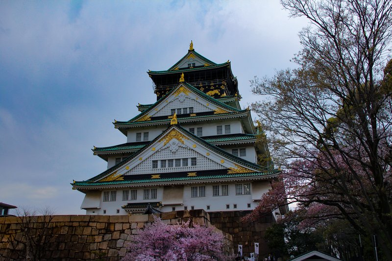 Osaka Castle main keep amid cherry blossoms