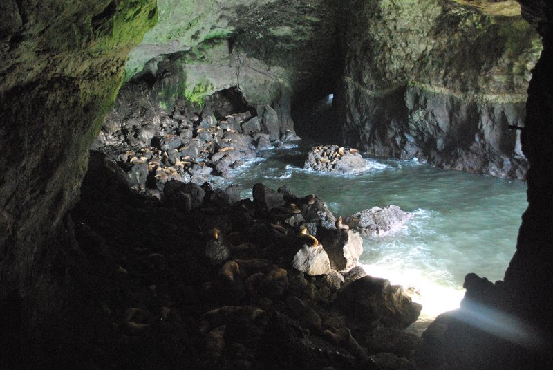 Interior of Sea Lion Caves on the Oregon coast