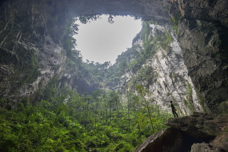 Skylit jungle doline inside Sơn Đoòng Cave
