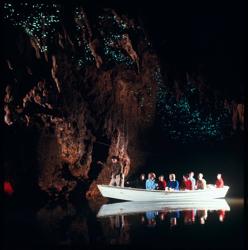 Boat tour beneath glowing worms in the Waitomo Glowworm Grotto