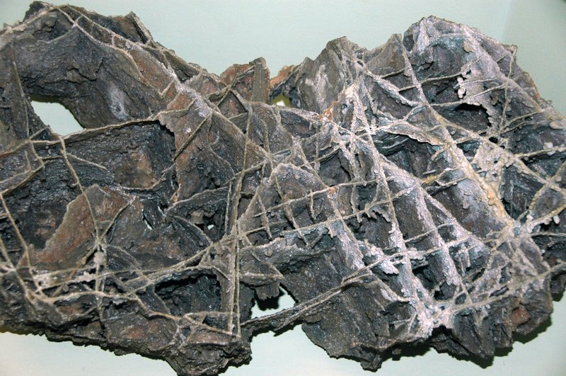 Calcite boxwork formation inside Wind Cave