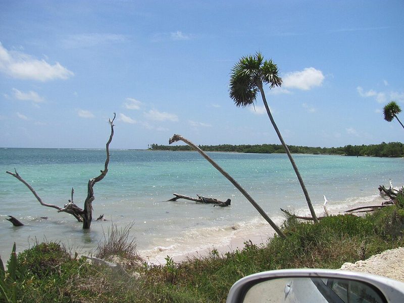 Mangrove and shallow water inside the Sian Ka'an Biosphere Reserve, Quintana Roo