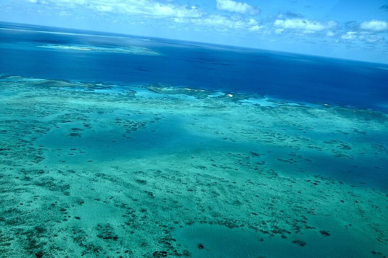 Coral and clear water on the Great Barrier Reef off Cairns, Queensland