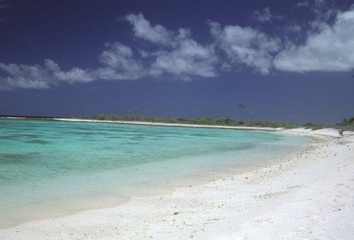 Shallow lagoon shore on Kiritimati, Kiribati