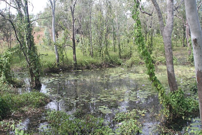 The Daly River in the Northern Territory