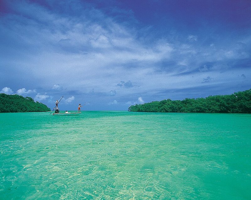 Flats fishing in the backcountry near Islamorada in the Florida Keys