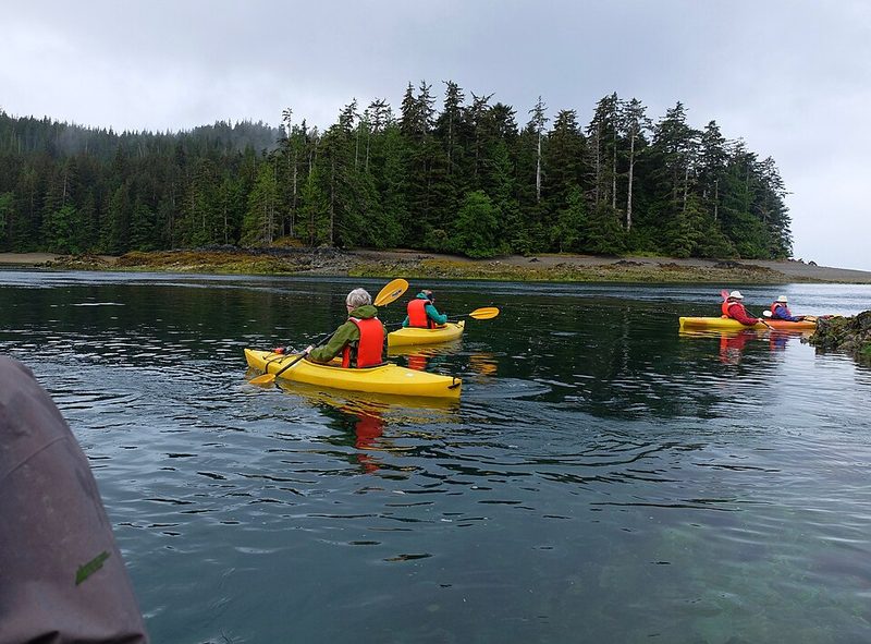 Sheltered water and forest shoreline in Haida Gwaii, British Columbia