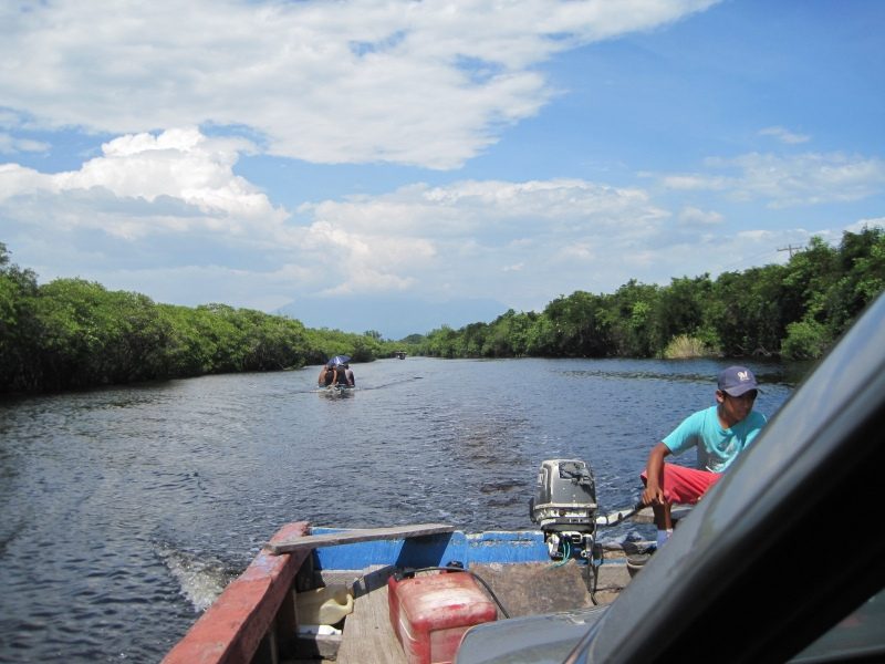 Mangrove canal on the Pacific coast at Monterrico near Iztapa, Guatemala