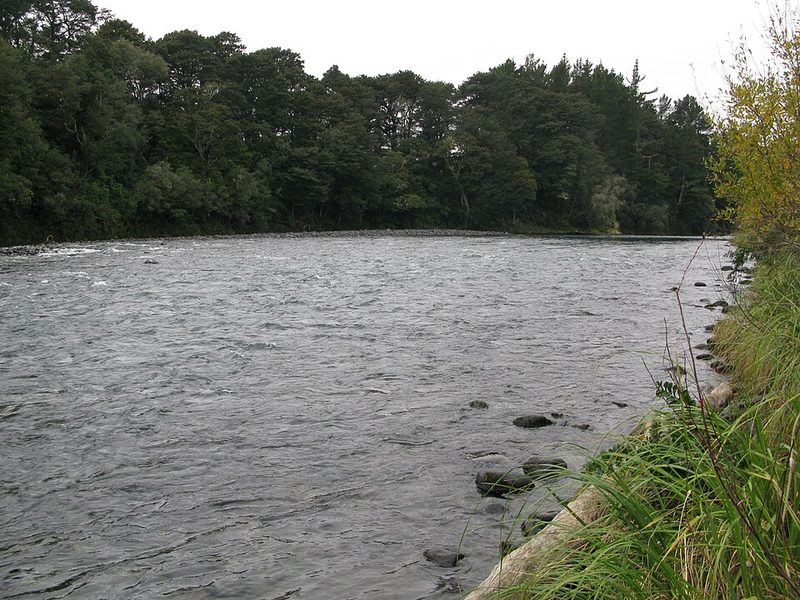 The Tongariro River near the National Trout Centre, above Lake Taupō