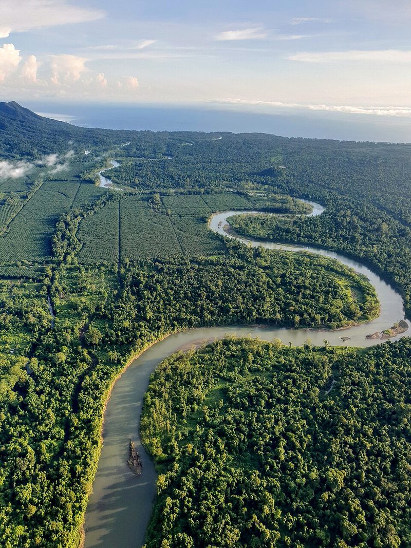 A tidal jungle river in West New Britain, Papua New Guinea