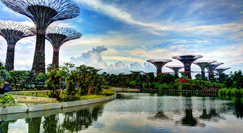 Supertree Grove vertical gardens at Gardens by the Bay