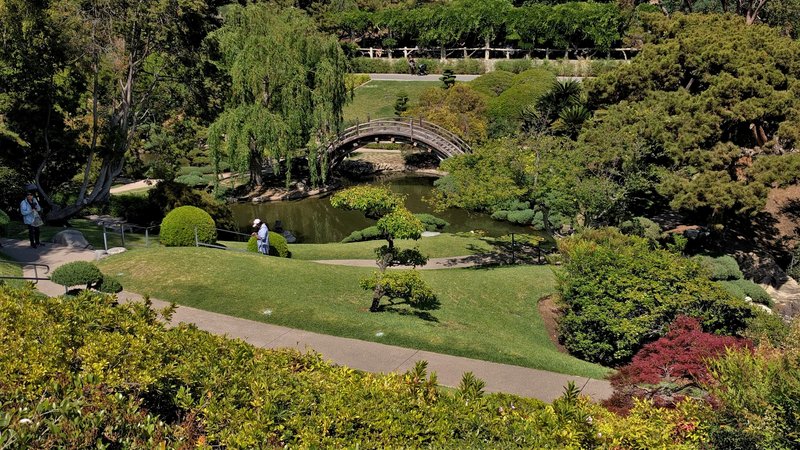 Wooden moon bridge over the koi pond in the Japanese Garden at the Huntington Library and Botanical Gardens