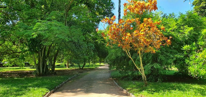 Arboretum grounds of the Jardim Botânico, Rio de Janeiro