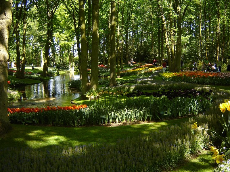Landscaped tulip gardens at Keukenhof