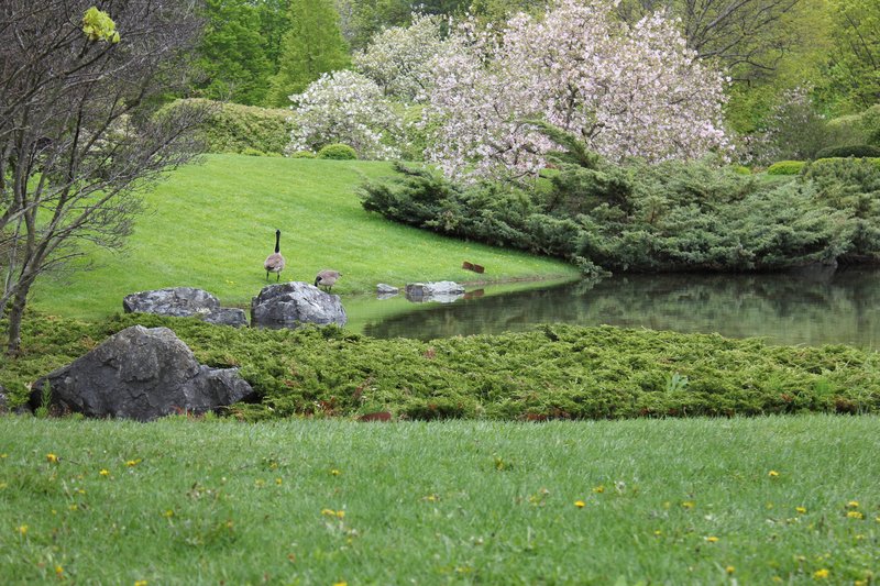 Japanese Garden at the Montreal Botanical Garden