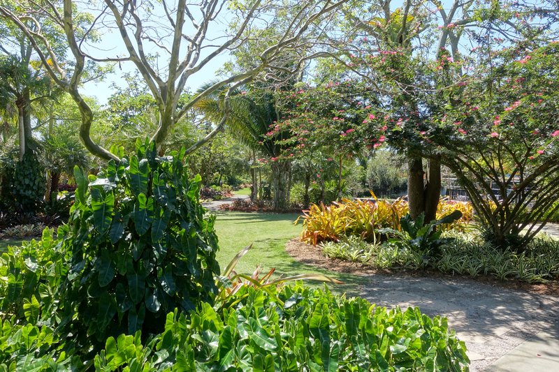 Planted beds and water garden at the Naples Botanical Garden in Florida