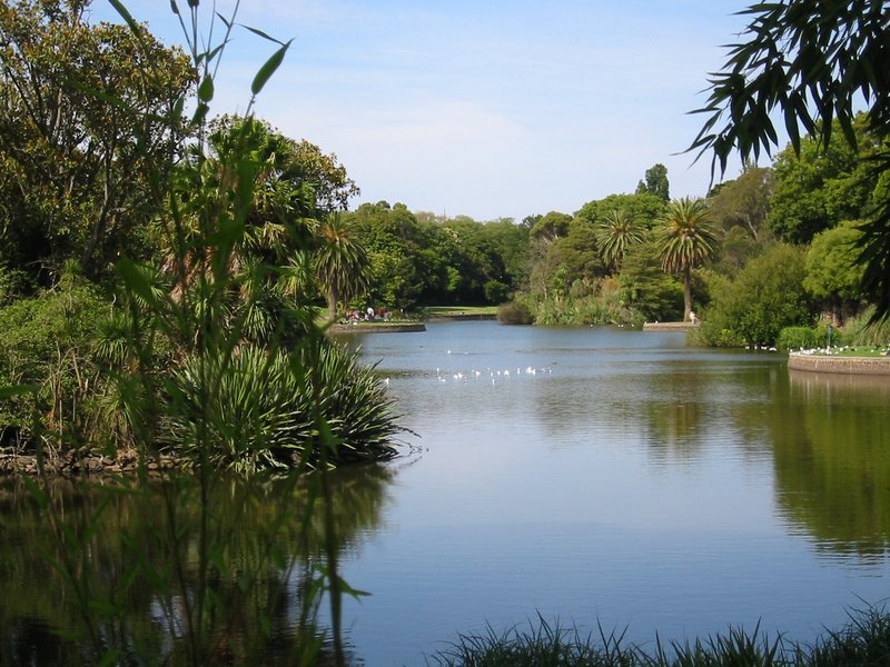 View across the Royal Botanic Gardens, Melbourne