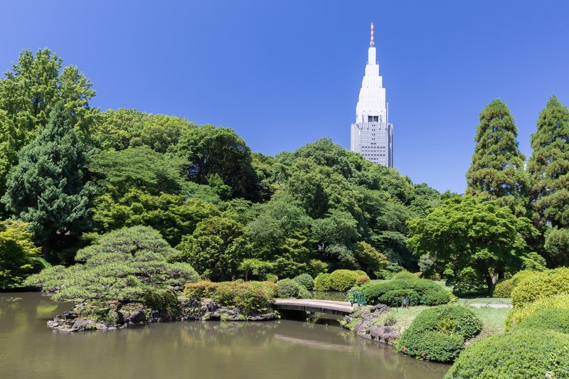Footbridge over a pond in Shinjuku Gyoen National Garden, Tokyo