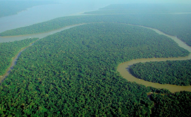 Aerial view of the Amazon rainforest canopy over the Solimões River