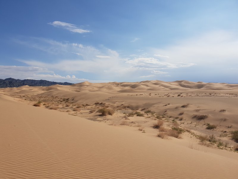 Gobi Desert sand dunes, Mongolia