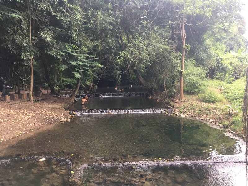 A forested natural hot spring pool near Pai, northern Thailand