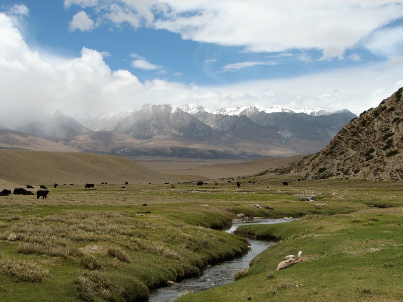 Yangpachen Valley on the Tibetan Plateau near Lhasa