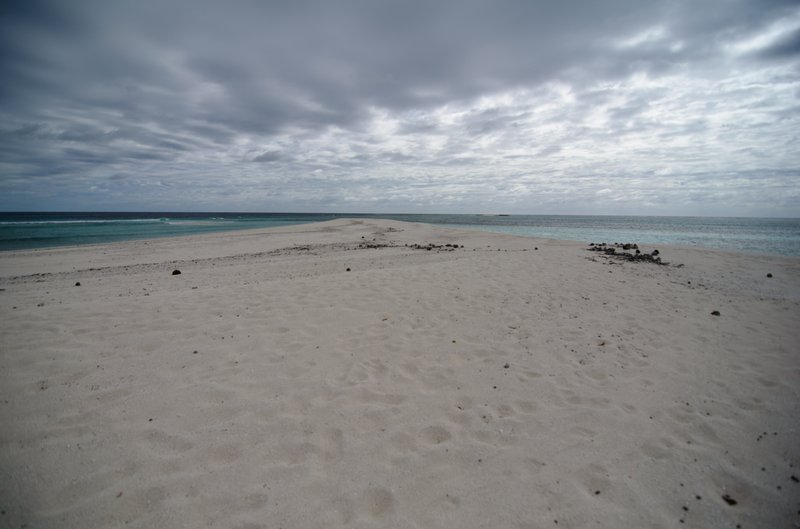 Palm-fringed beach in Fiji