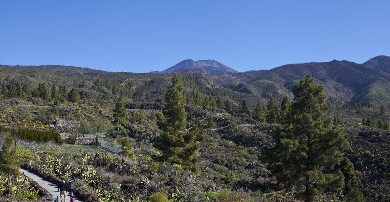 Mount Teide seen across the volcanic landscape of Tenerife