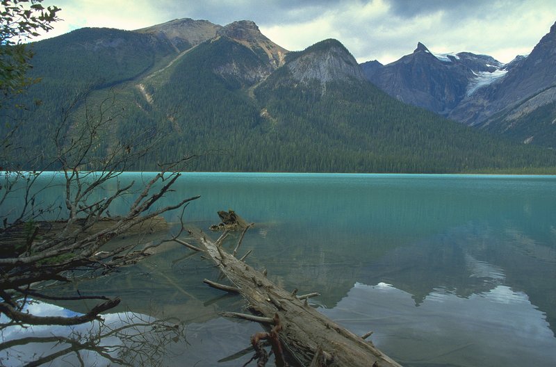 Emerald Lake in Yoho National Park