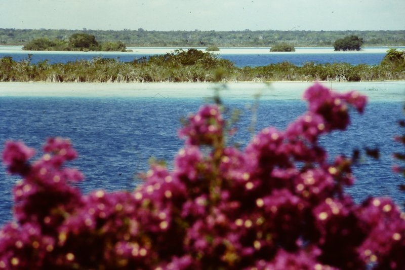 Bacalar Lagoon's blue waters, Quintana Roo, Mexico