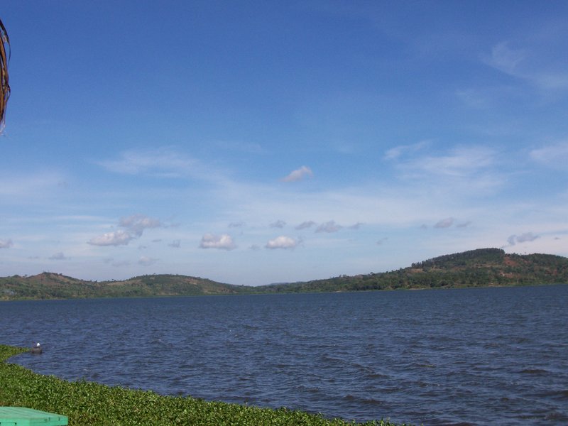 Shoreline of Lake Victoria, Africa's largest lake