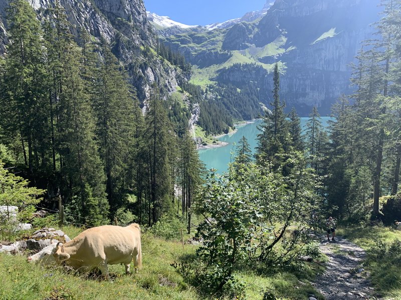 Oeschinen Lake beneath the peaks of the Blüemlisalp above Kandersteg