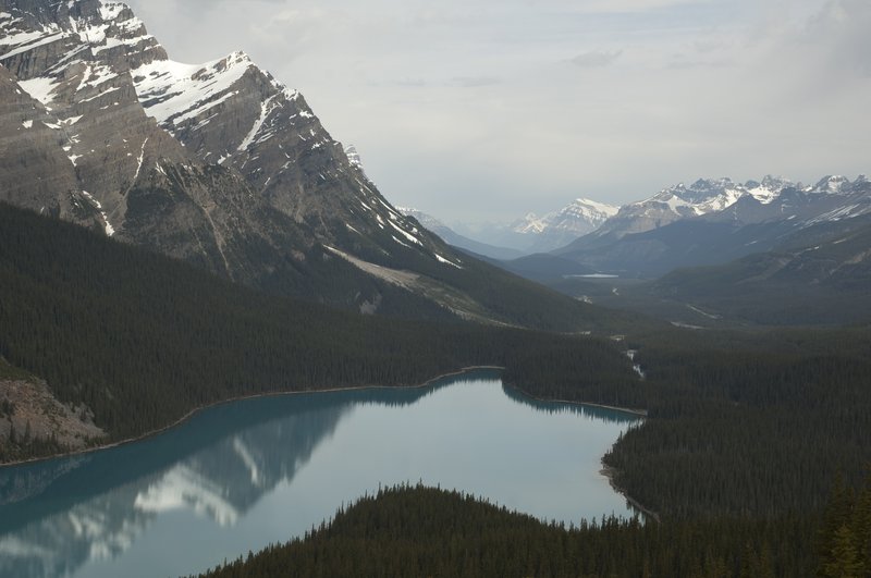 Peyto Lake viewed from the Bow Summit overlook