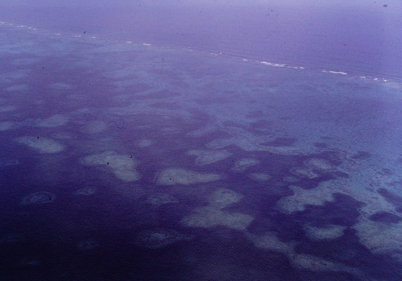Oblique aerial view of the turquoise back-reef lagoon behind the barrier reef, northern Andros Island, Bahamas