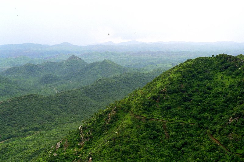 Rocky Aravalli hills and scrubland, Rajasthan, India