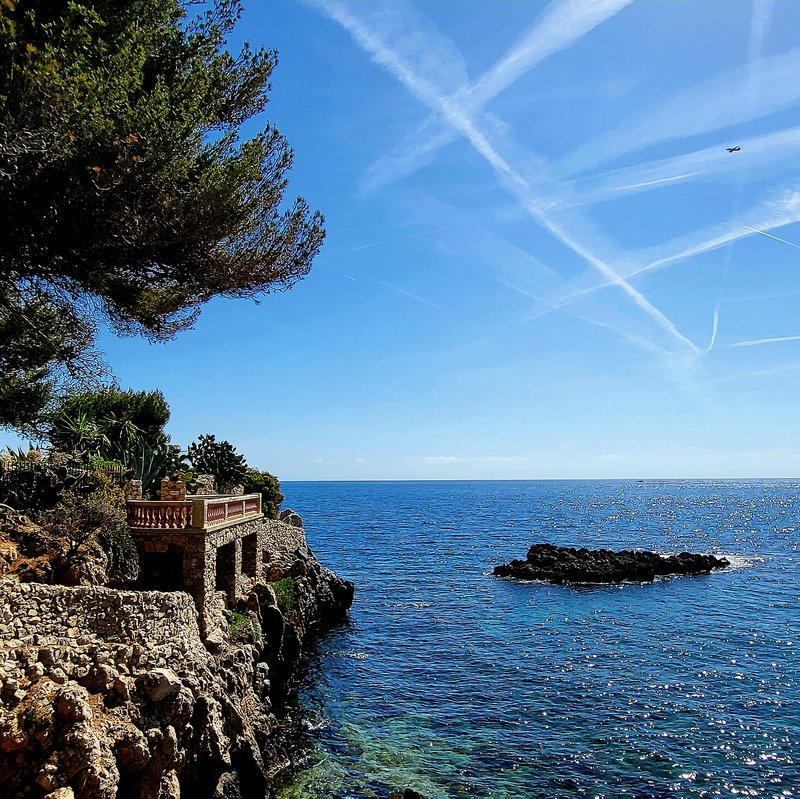 Rocky pine-covered coastline of Cap d'Antibes, Côte d'Azur, France