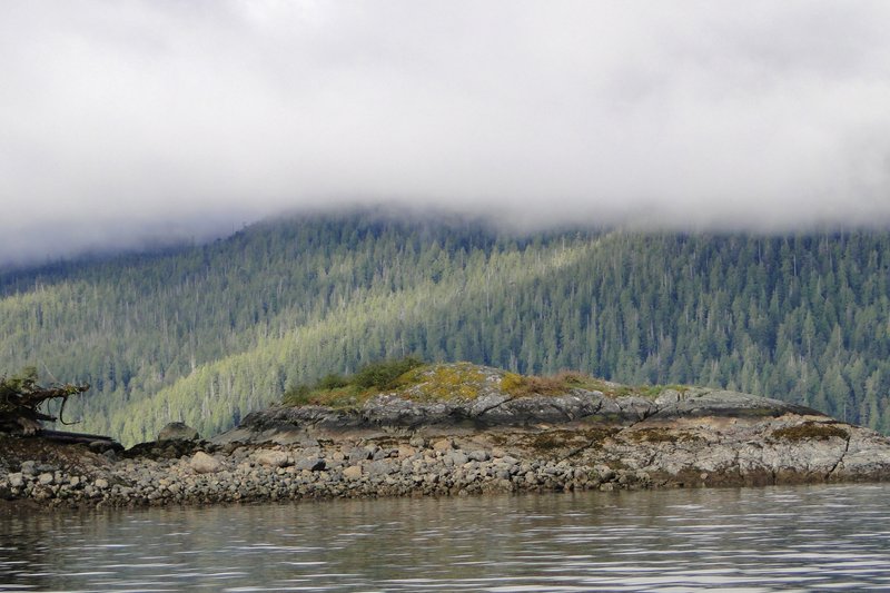 Old-growth rainforest and inlets of Clayoquot Sound, Vancouver Island, British Columbia