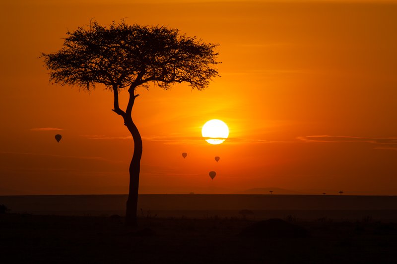 Hot air balloon over the Maasai Mara at dawn, Kenya