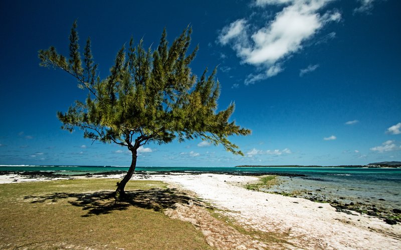 Turquoise lagoon and beach near Trou d'Eau Douce on the east coast of Mauritius